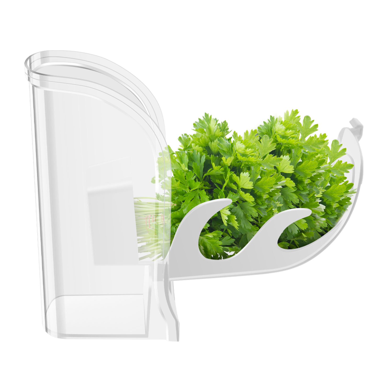 Herb Crisper Saver Container R - Kitchen Gadgets Modern 评论和价格